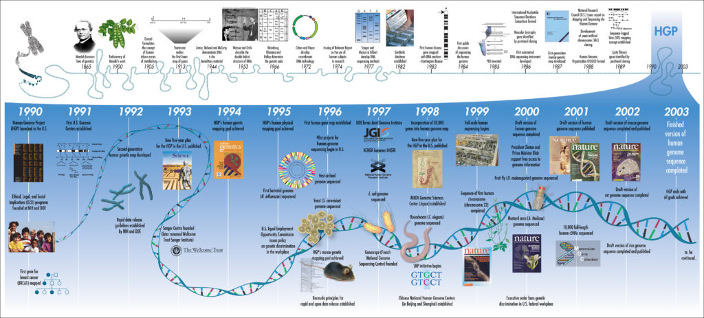 Epigenética, mucho más que genes; de Carlos Romá-Mateo